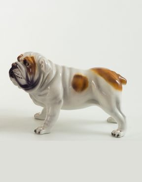 Cane bulldog bianco in ceramica - Ceramiche Boxer